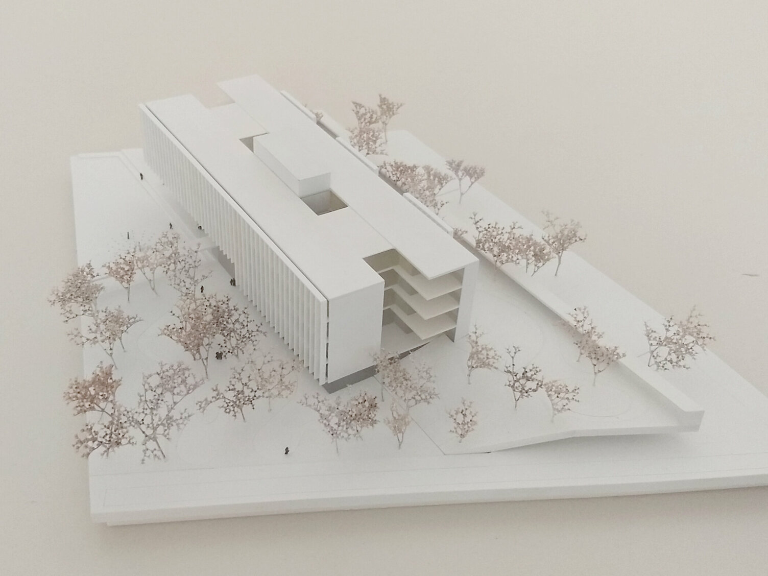 Markus Pernthaler Architekten -NMS-Leopold-Kohl-Strasse - Modell © MPA