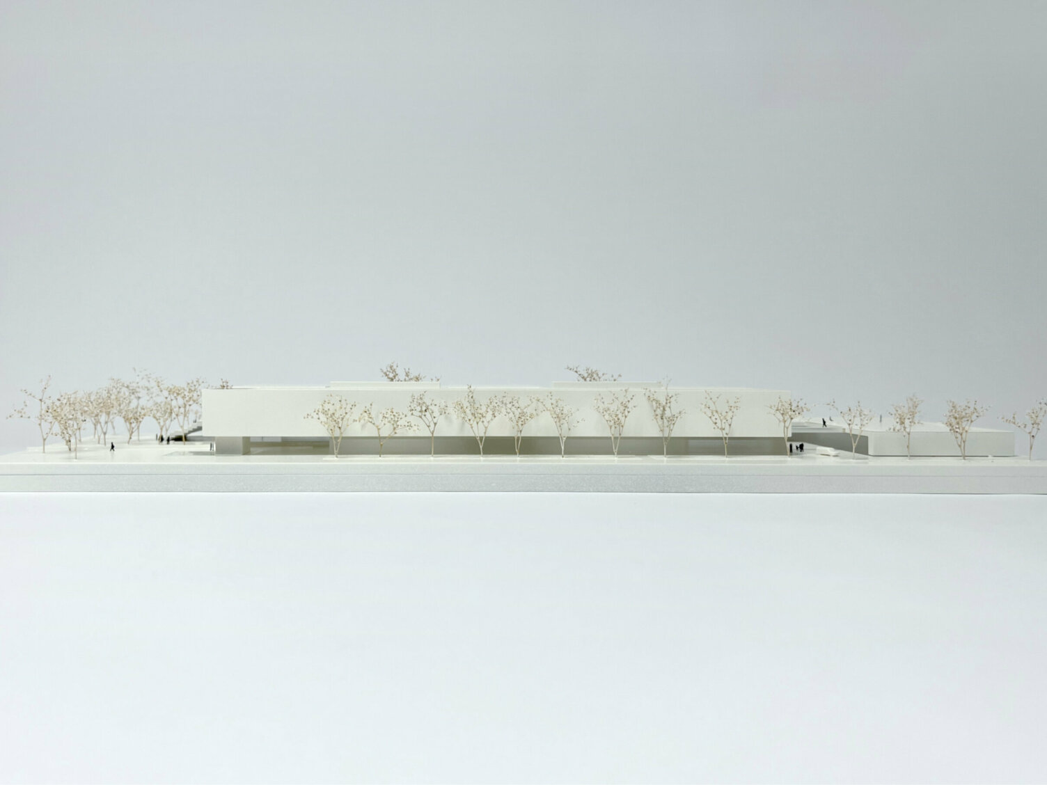 Markus Pernthaler Architekten - Wettbewerb BG BRG Gerasdorf - © MPA