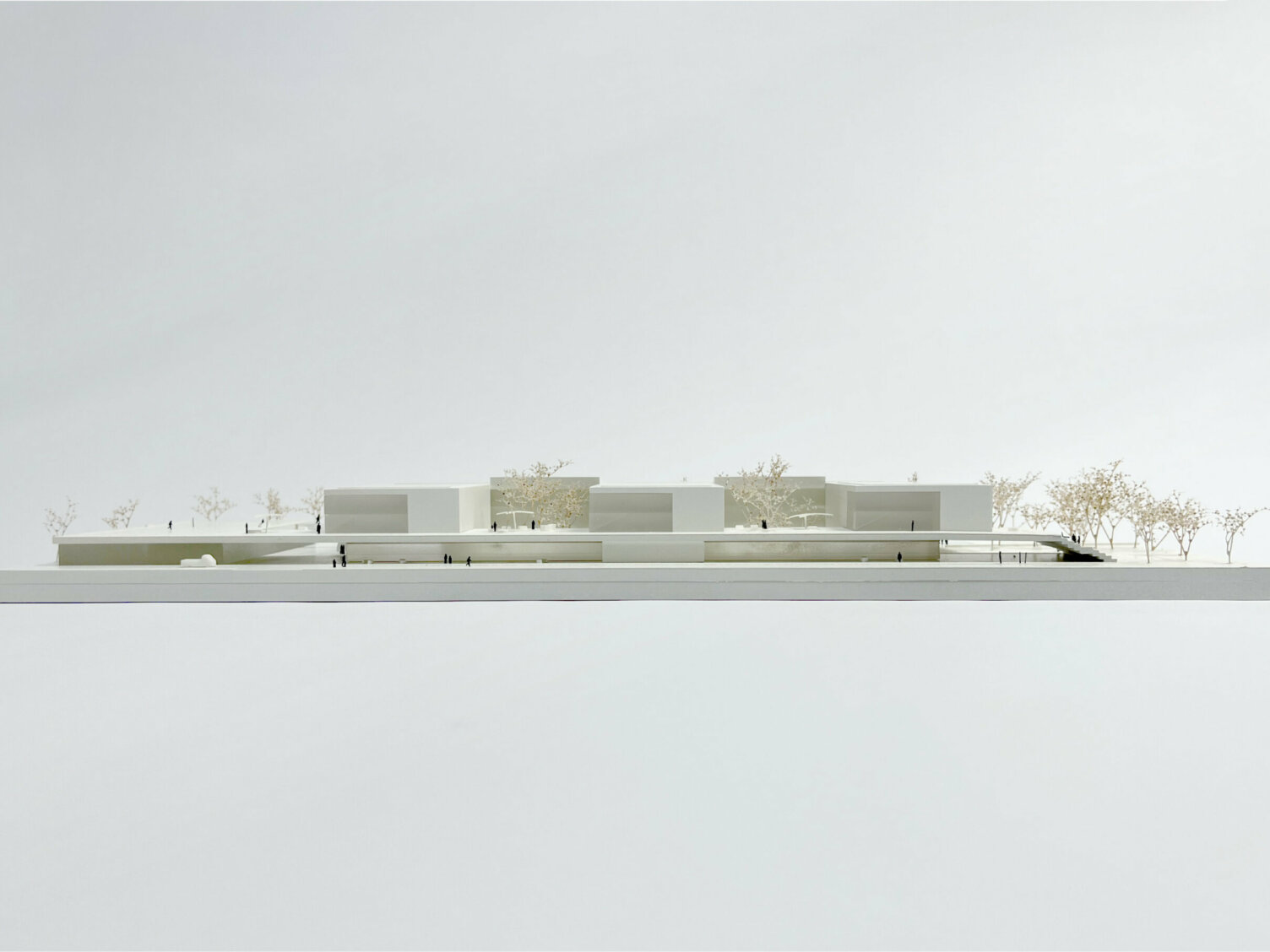 Markus Pernthaler Architekten - Wettbewerb BG BRG Gerasdorf - © MPA