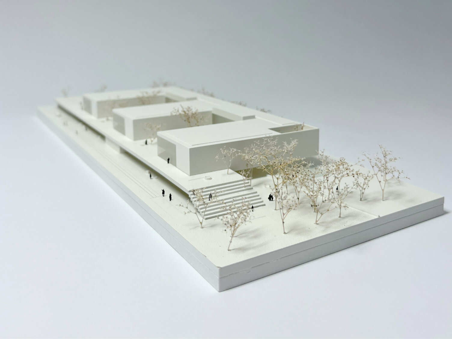 Markus Pernthaler Architekten - Wettbewerb BG BRG Gerasdorf - © MPA